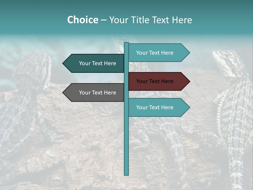 Animal Eye Segment Animal PowerPoint Template