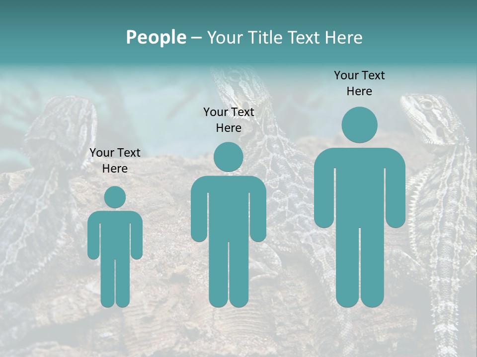 Animal Eye Segment Animal PowerPoint Template