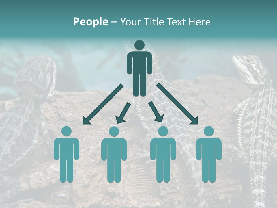 Animal Eye Segment Animal PowerPoint Template