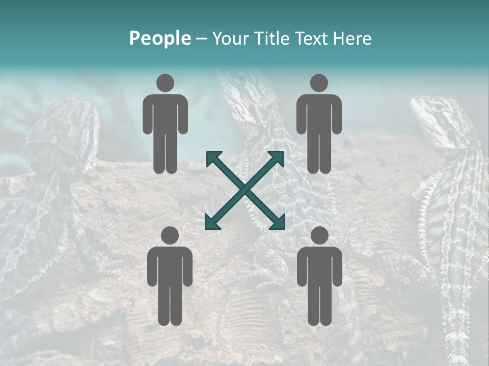 Animal Eye Segment Animal PowerPoint Template