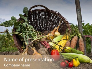 Ripe Food Basket PowerPoint Template