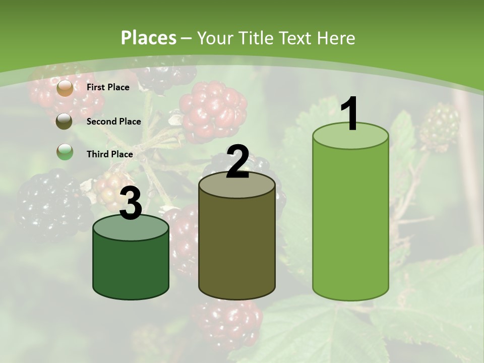 Macro Group Eating PowerPoint Template