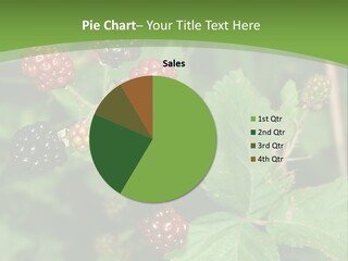 Macro Group Eating PowerPoint Template