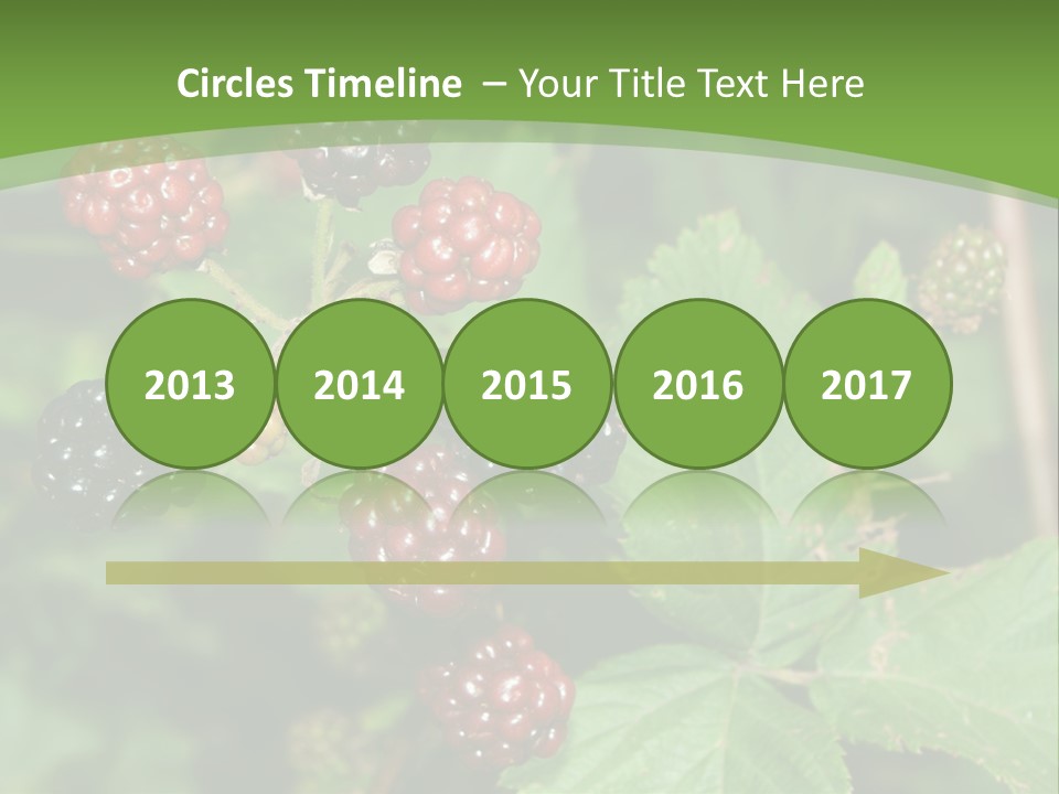 Macro Group Eating PowerPoint Template