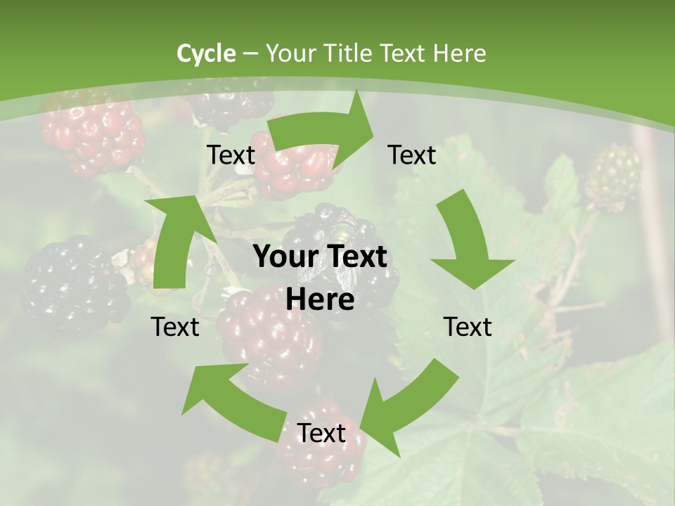 Macro Group Eating PowerPoint Template
