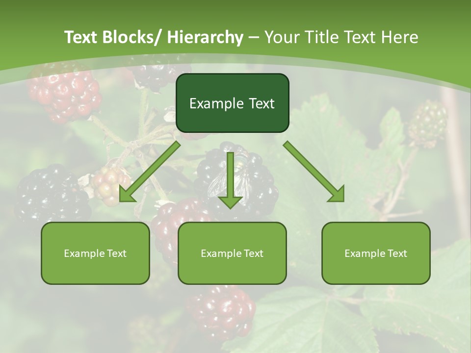 Macro Group Eating PowerPoint Template