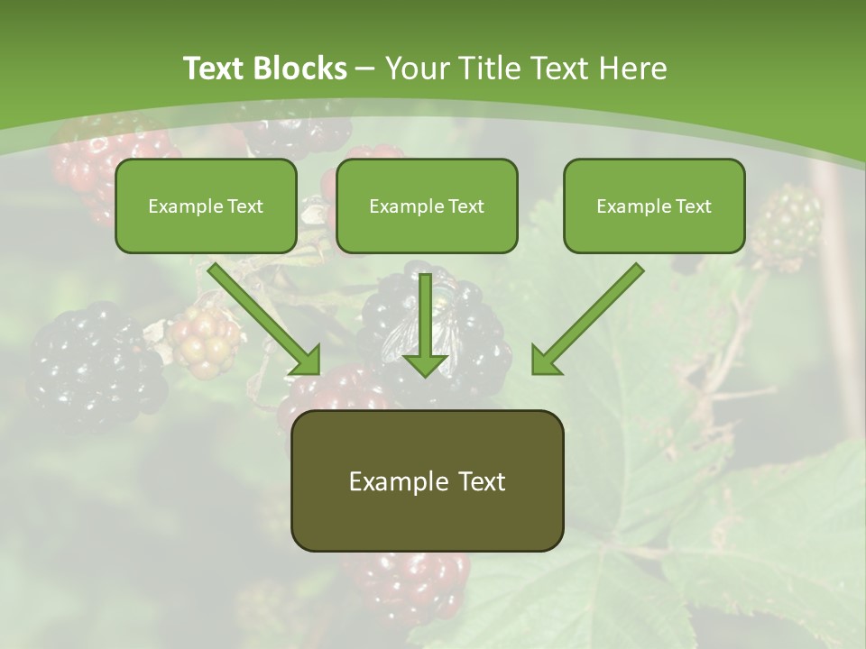Macro Group Eating PowerPoint Template