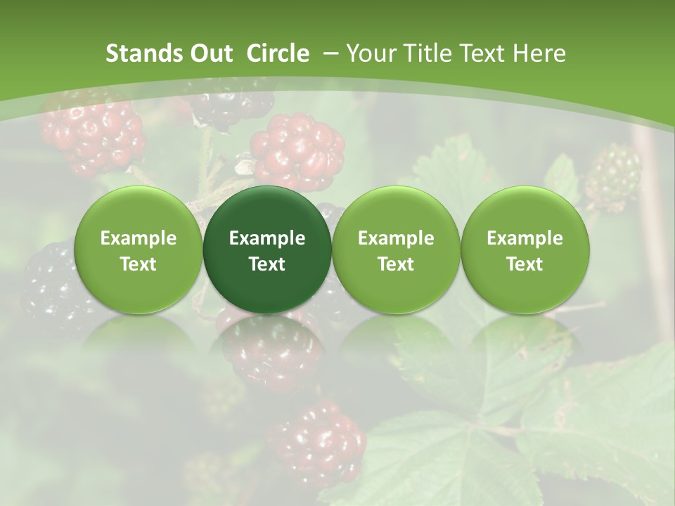 Macro Group Eating PowerPoint Template