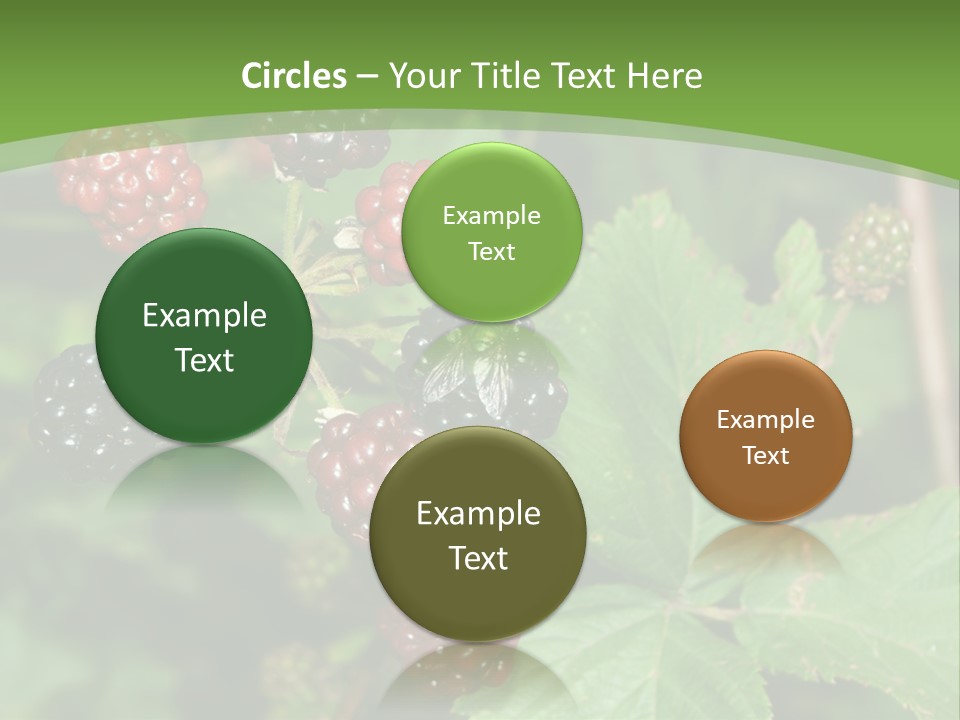 Macro Group Eating PowerPoint Template