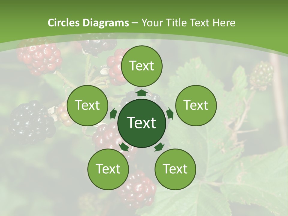 Macro Group Eating PowerPoint Template