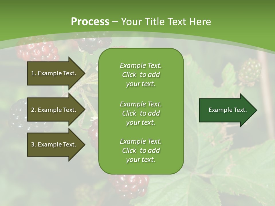 Macro Group Eating PowerPoint Template