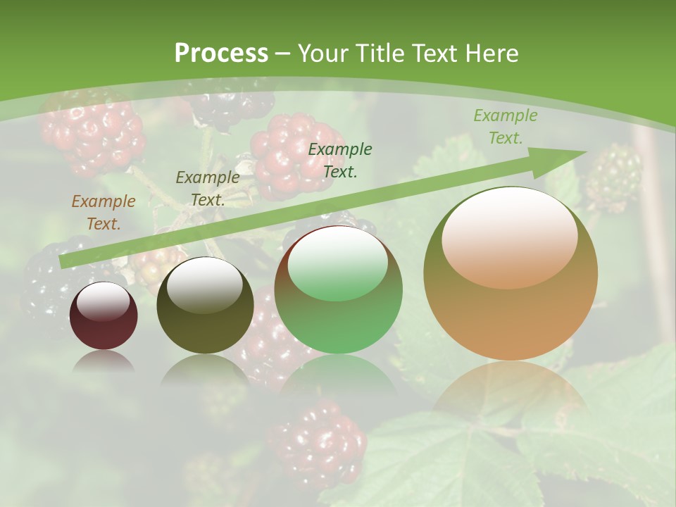 Macro Group Eating PowerPoint Template