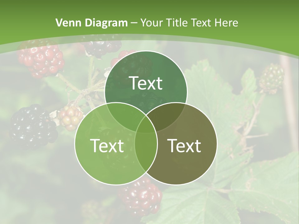 Macro Group Eating PowerPoint Template