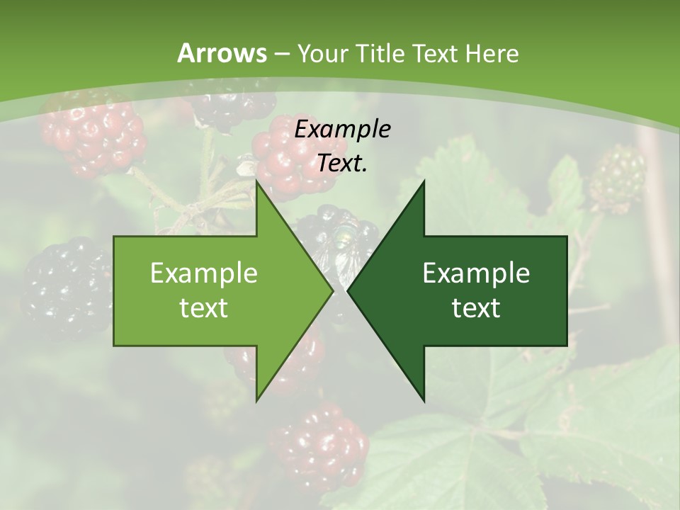 Macro Group Eating PowerPoint Template
