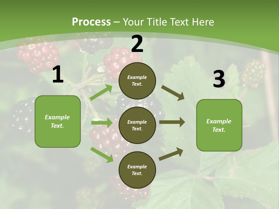 Macro Group Eating PowerPoint Template