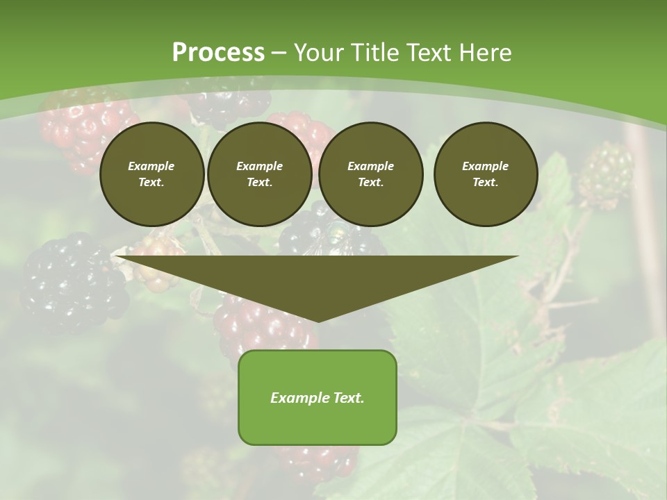 Macro Group Eating PowerPoint Template