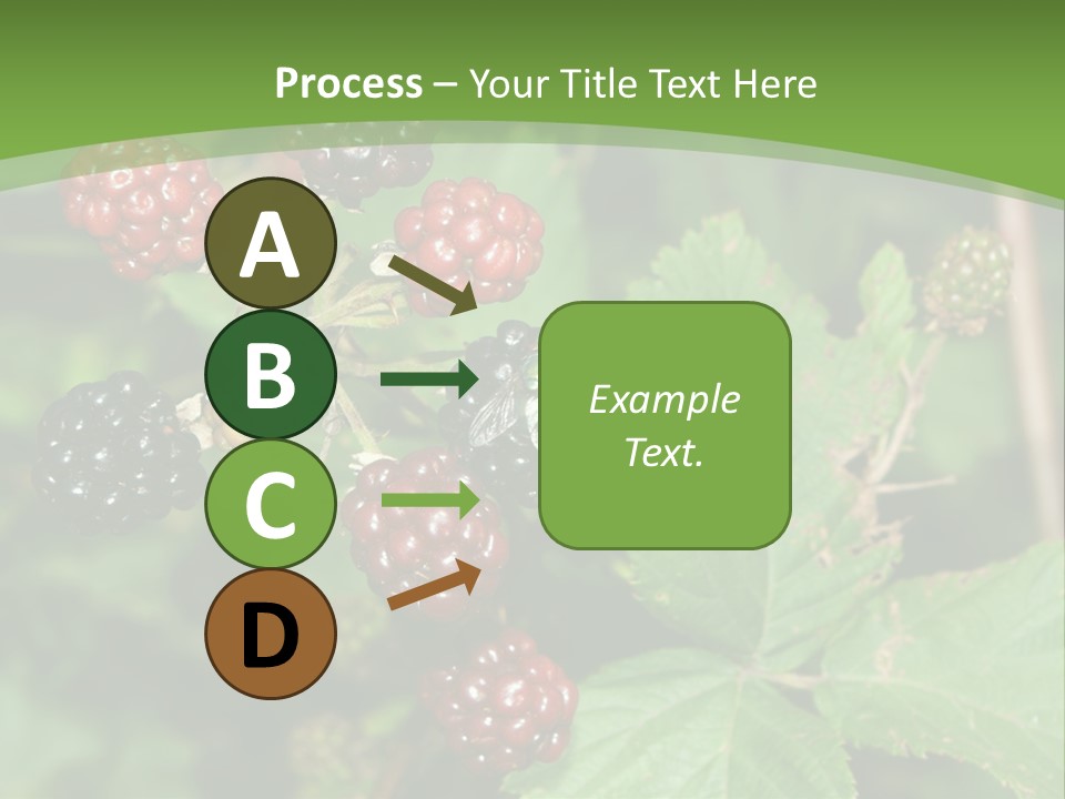 Macro Group Eating PowerPoint Template