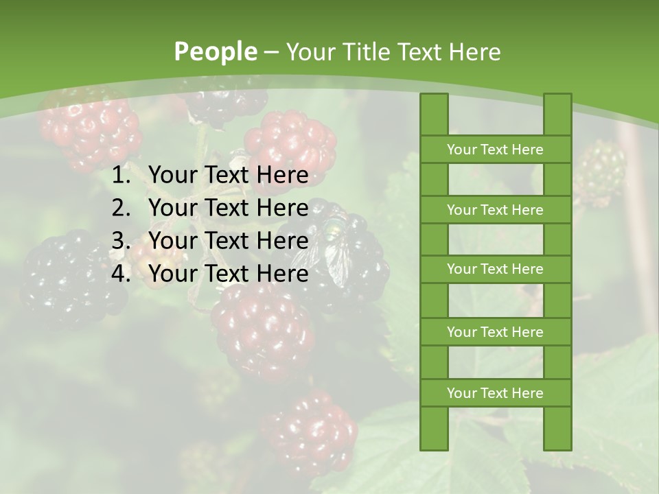 Macro Group Eating PowerPoint Template