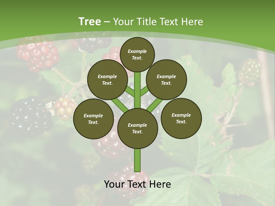 Macro Group Eating PowerPoint Template