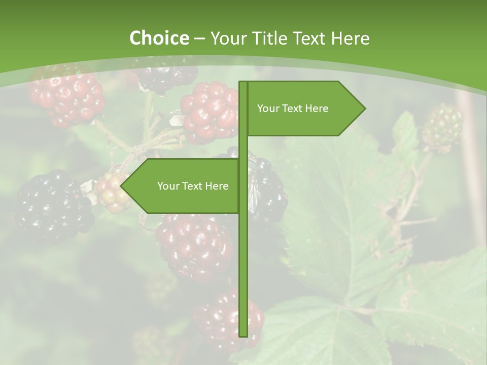 Macro Group Eating PowerPoint Template