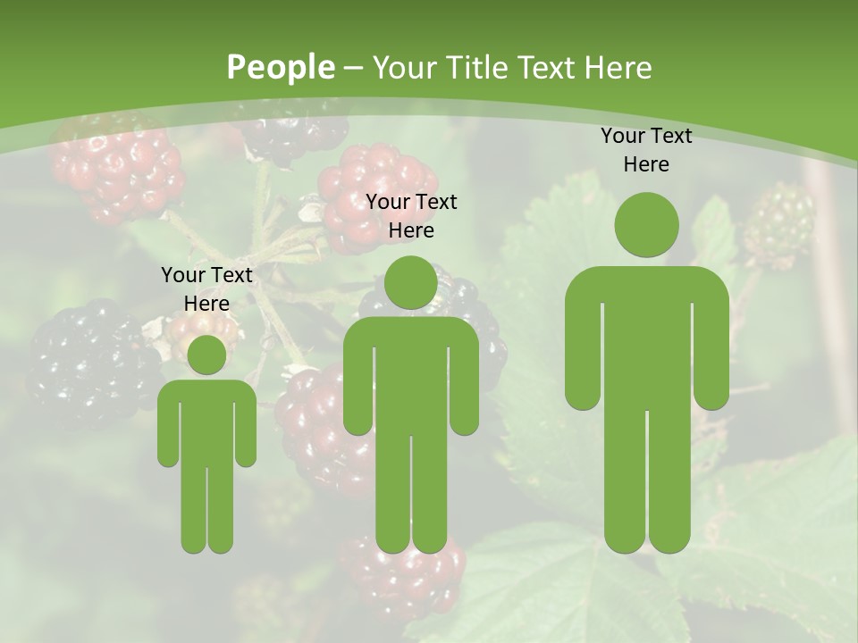 Macro Group Eating PowerPoint Template