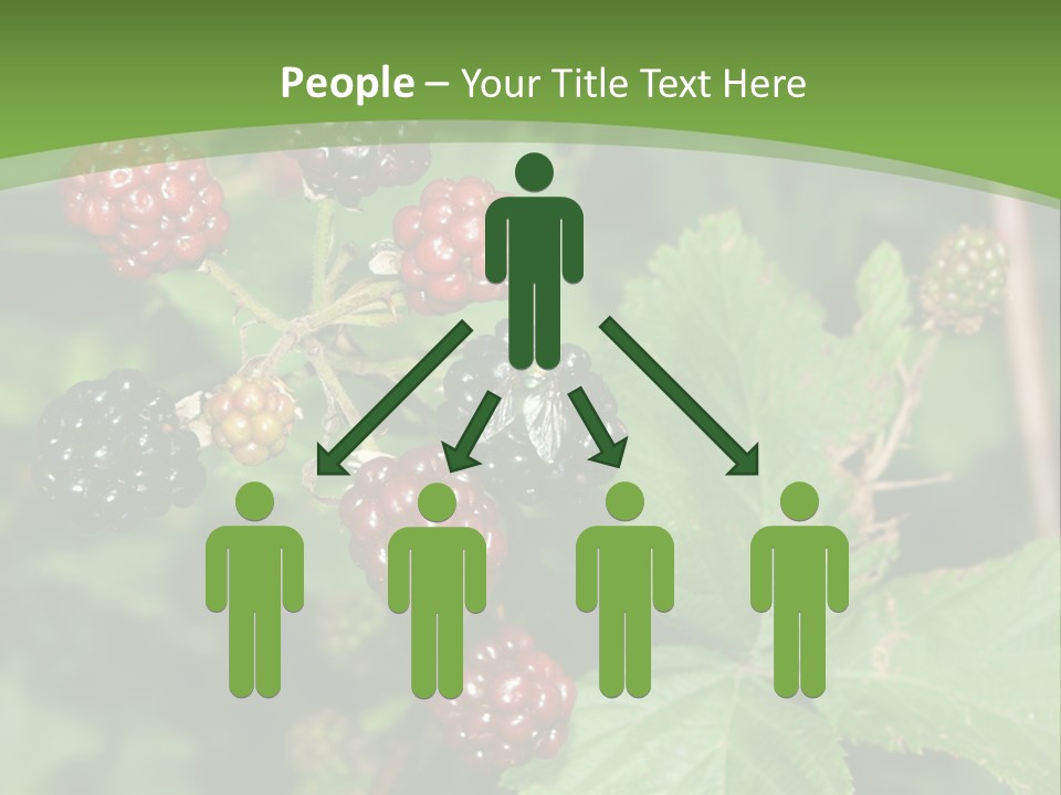 Macro Group Eating PowerPoint Template