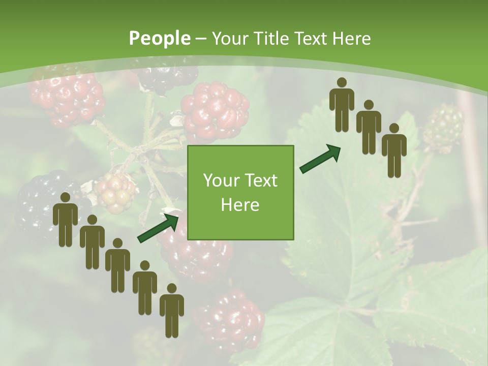 Macro Group Eating PowerPoint Template