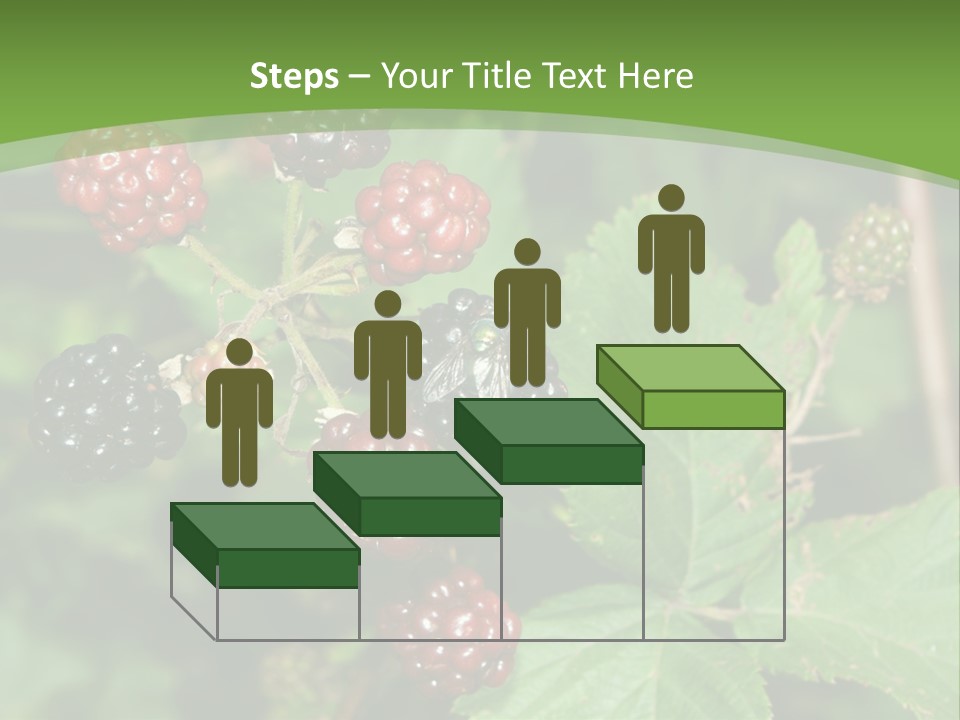 Macro Group Eating PowerPoint Template