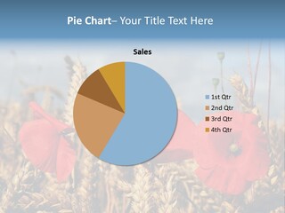 Countryside Agriculture Farm PowerPoint Template