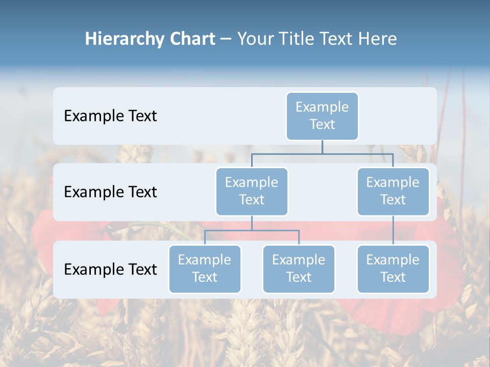 Countryside Agriculture Farm PowerPoint Template