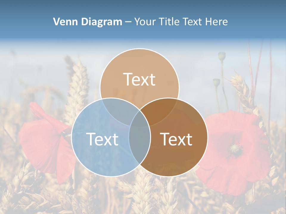 Countryside Agriculture Farm PowerPoint Template