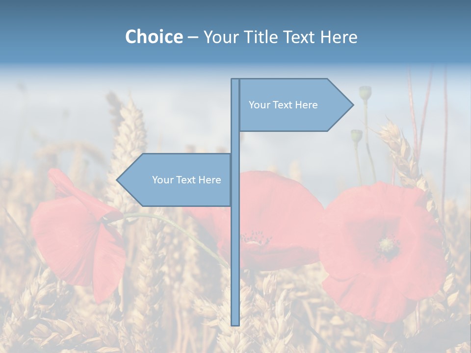 Countryside Agriculture Farm PowerPoint Template