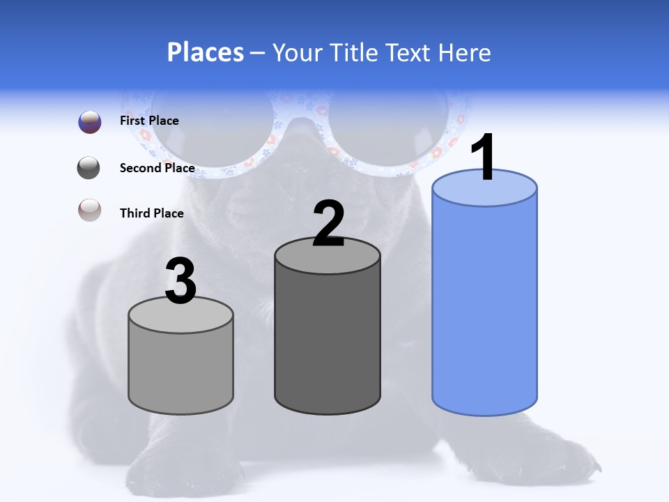 Studio Canine Ugly PowerPoint Template