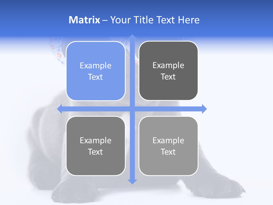 Studio Canine Ugly PowerPoint Template