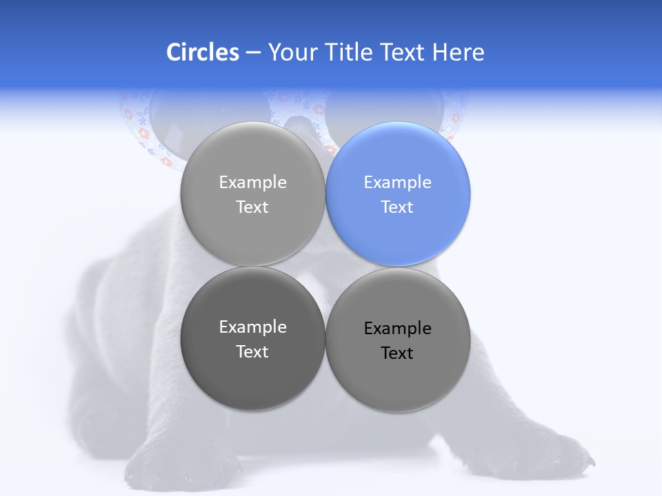 Studio Canine Ugly PowerPoint Template