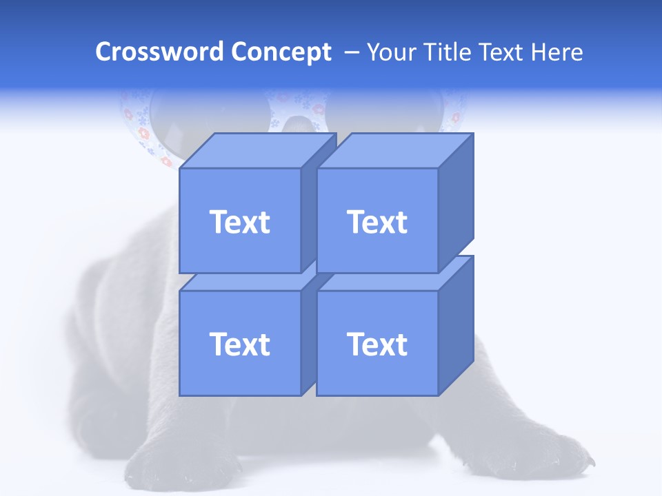 Studio Canine Ugly PowerPoint Template