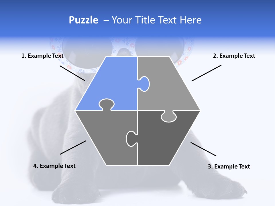 Studio Canine Ugly PowerPoint Template