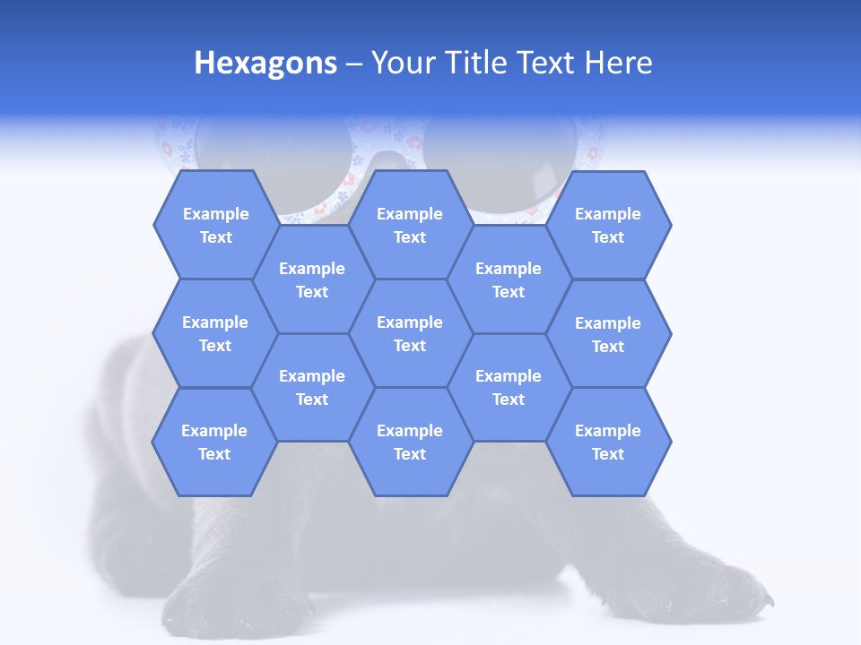 Studio Canine Ugly PowerPoint Template