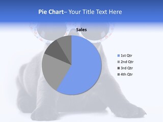 Studio Canine Ugly PowerPoint Template