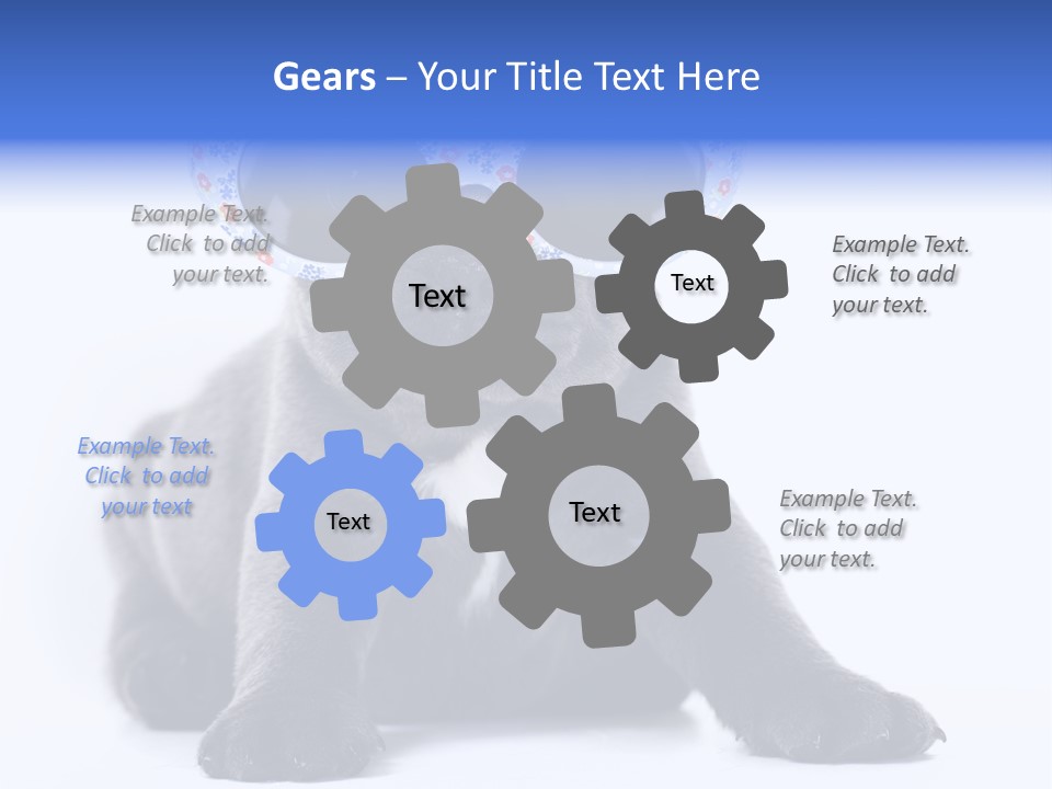 Studio Canine Ugly PowerPoint Template