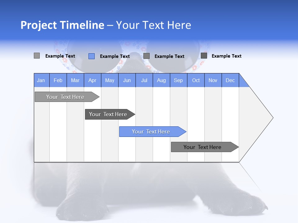 Studio Canine Ugly PowerPoint Template