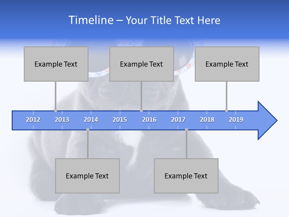 Studio Canine Ugly PowerPoint Template