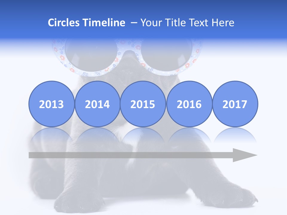 Studio Canine Ugly PowerPoint Template