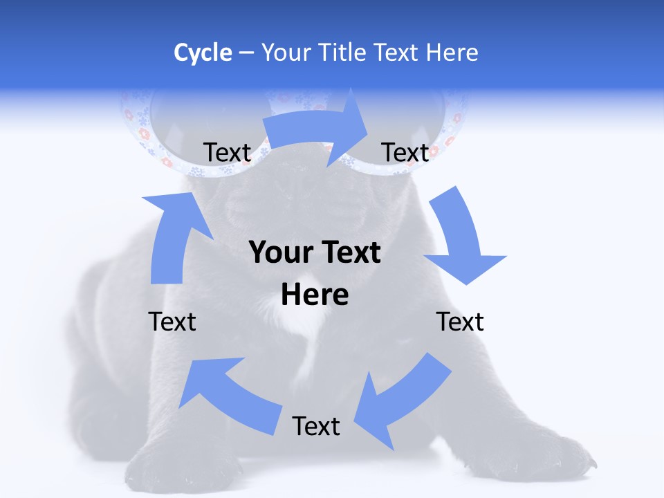 Studio Canine Ugly PowerPoint Template