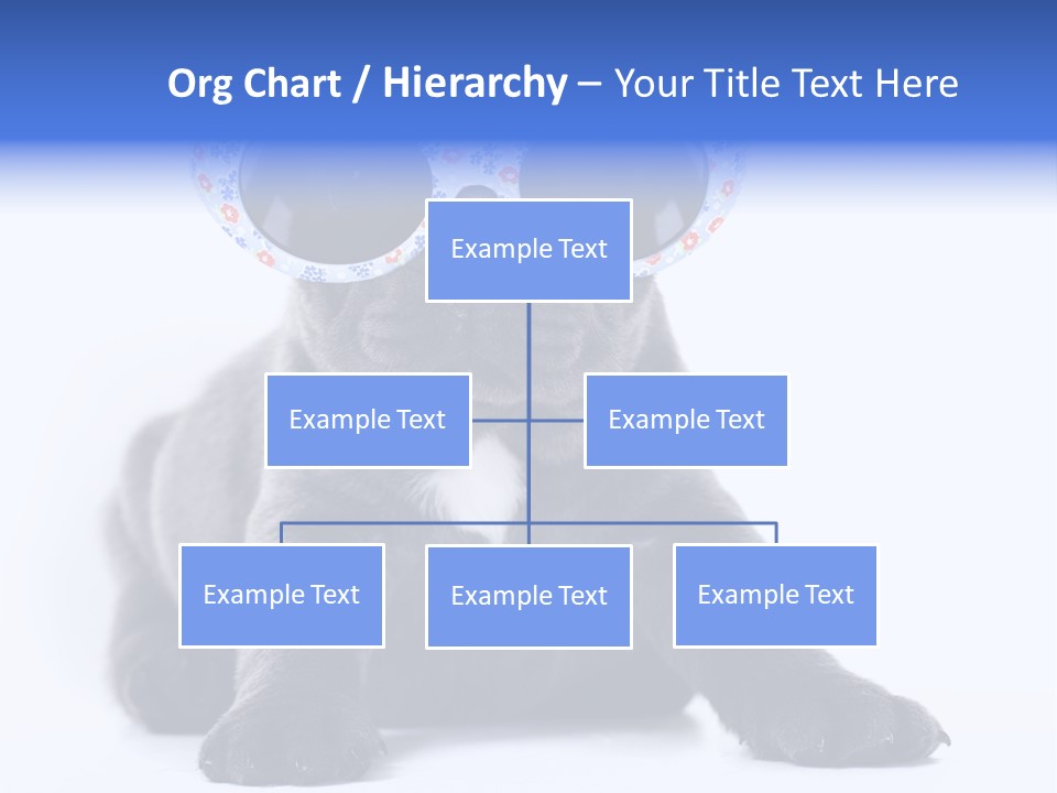 Studio Canine Ugly PowerPoint Template