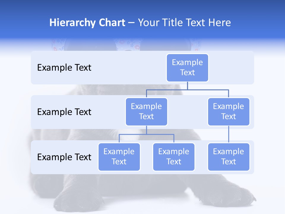 Studio Canine Ugly PowerPoint Template
