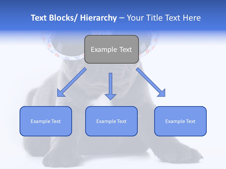 Studio Canine Ugly PowerPoint Template