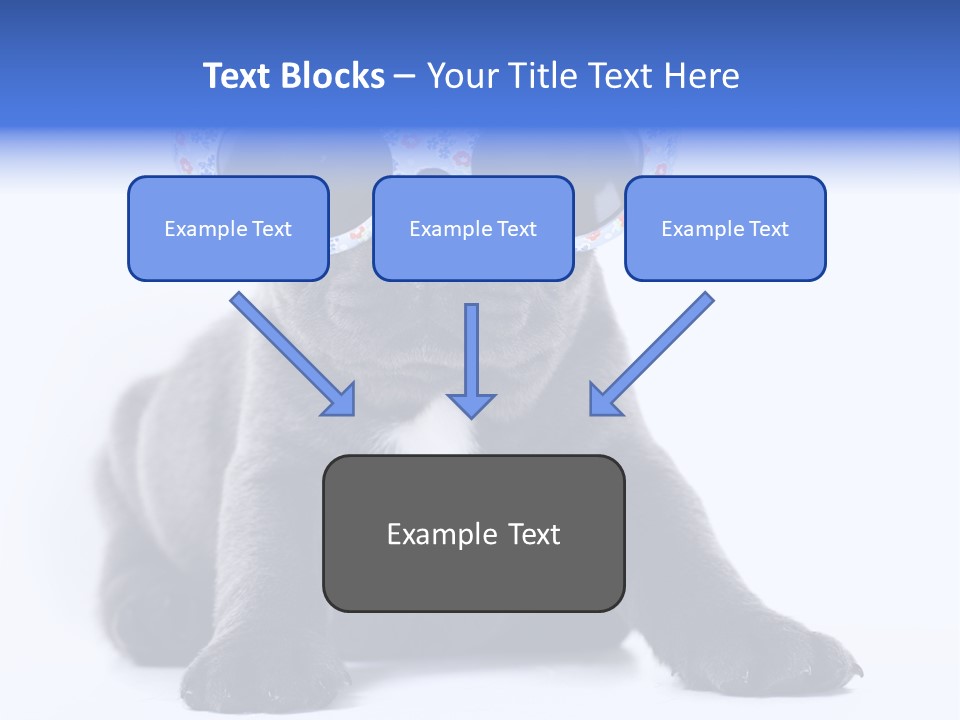 Studio Canine Ugly PowerPoint Template