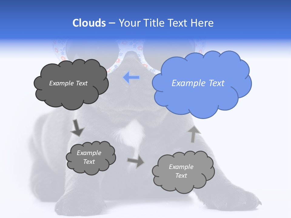 Studio Canine Ugly PowerPoint Template