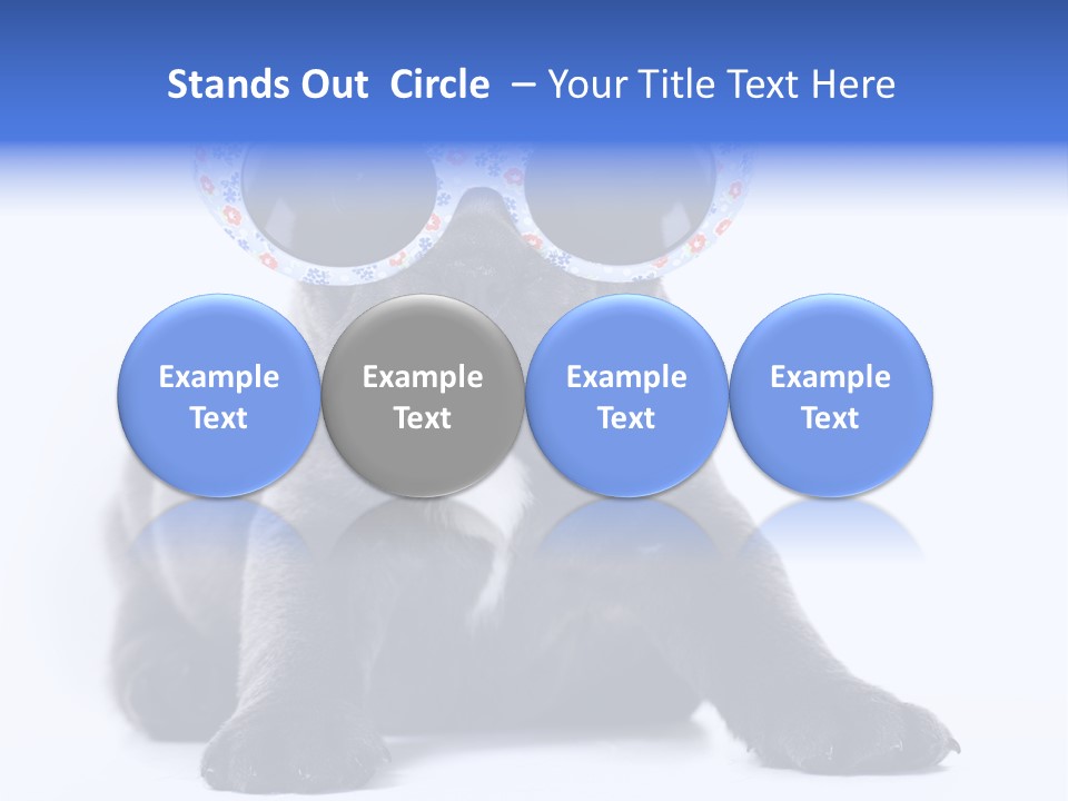 Studio Canine Ugly PowerPoint Template